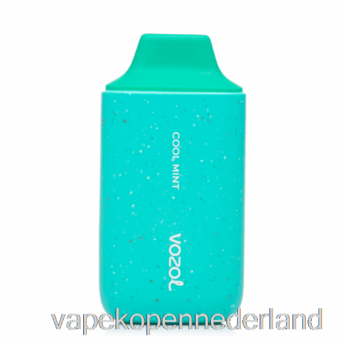 Elektronische Sigaret Vape Vozol Star 6000 Wegwerp Cool Mint